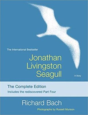 Jonathan Livingston Seagull! A Triumphant Tale of Spiritual Awakening and Aerodynamic Acrobatic Excellence!